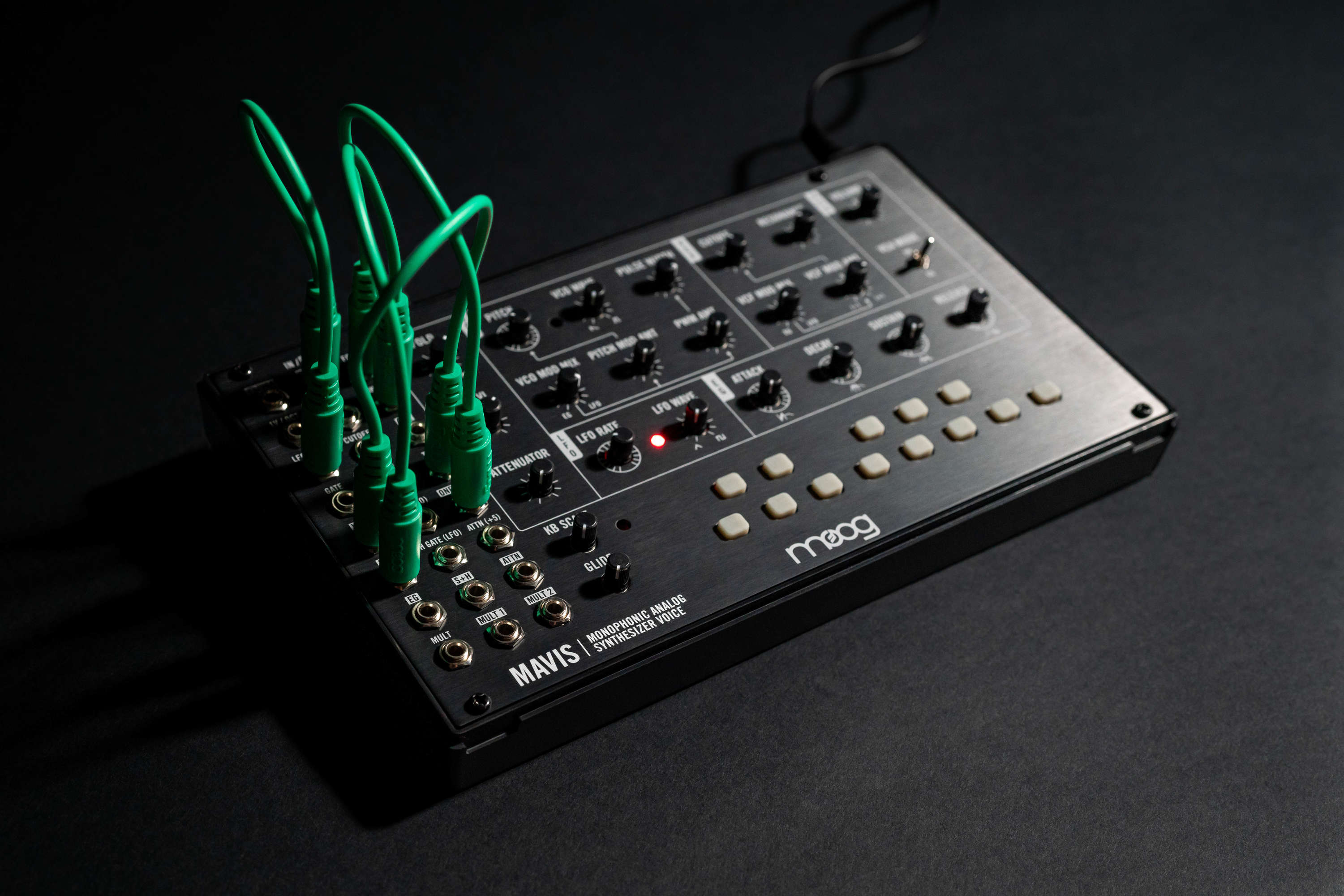 担当者が気になっているMoog製品①Moog　Mavis