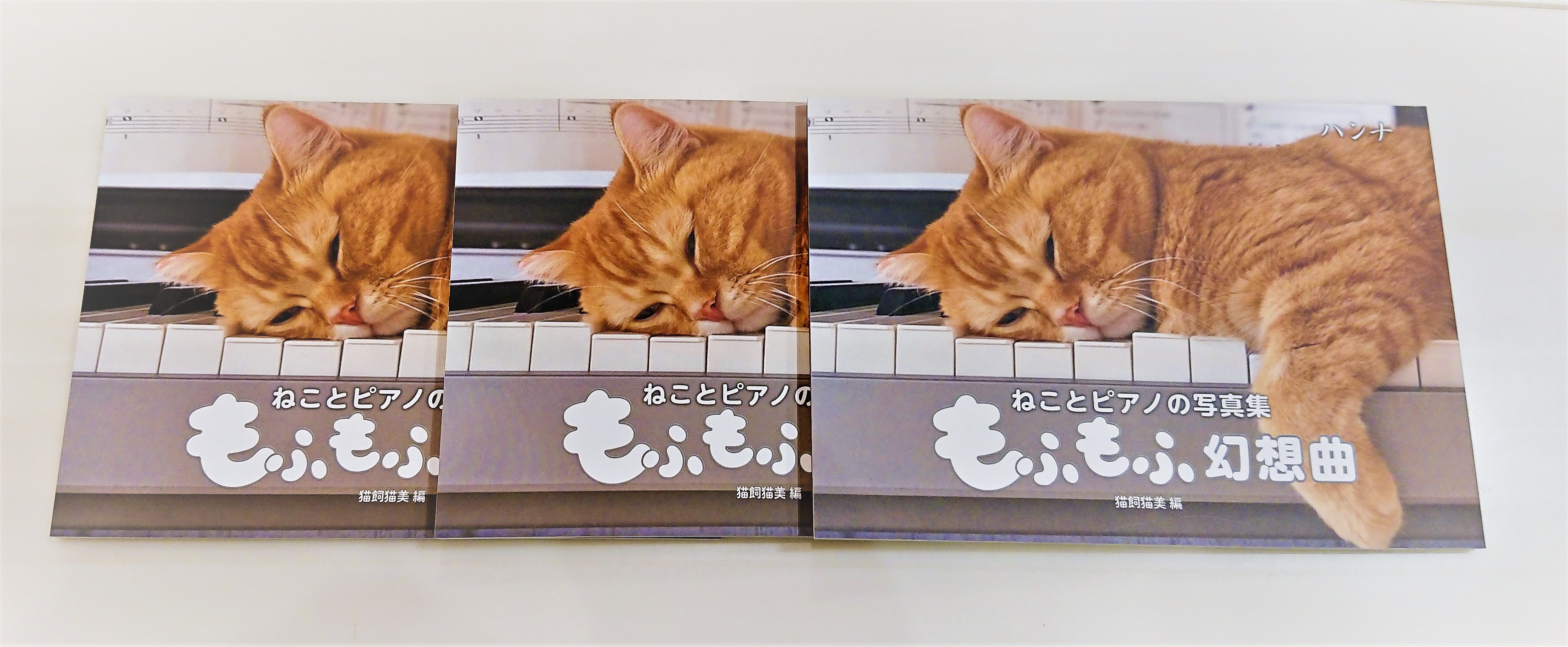 【☆新刊☆】ねことピアノの写真集！？