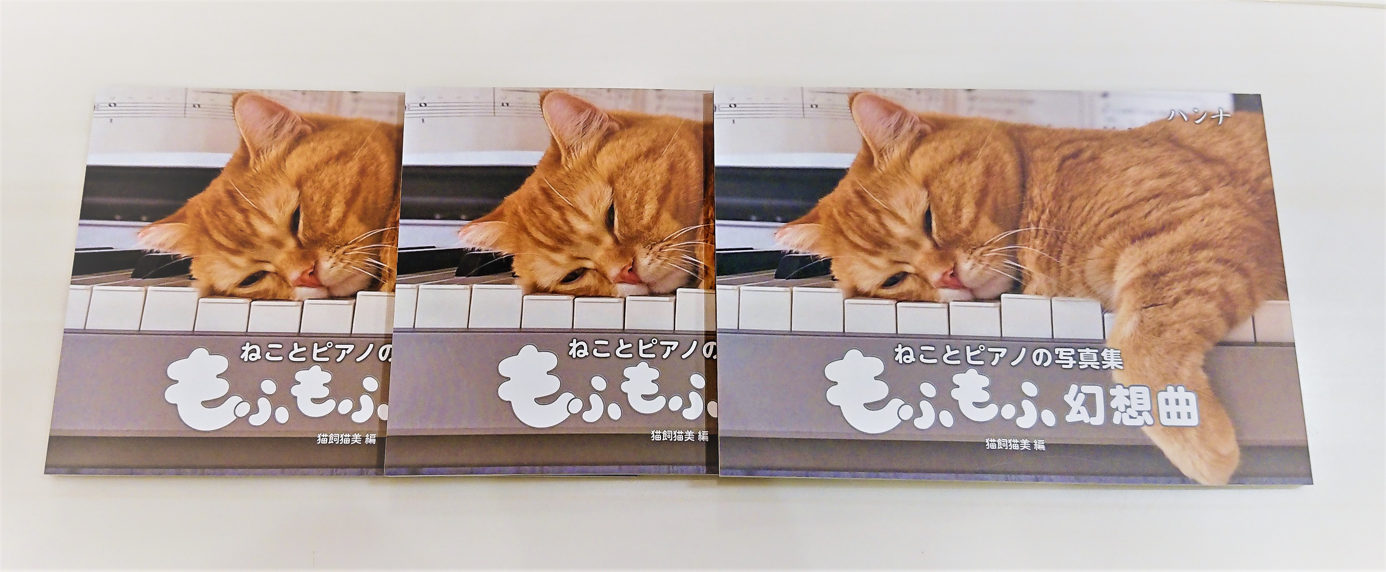 *ねことピアノの写真集　もふもふ幻想曲 |*表紙|| 衝撃の愛らしさ！にゃんこのピアノ愛が炸裂！]]ねことピアノの愛くるしい写真がたくさん♪ 『知ってると思うけど、にゃんこはピアノが大好きにゃんです』 |*出版社|ハンナ（ショパン）| |*タイトル|ねことピアノの写真集　もふもふ幻想曲| |*販売価 […]