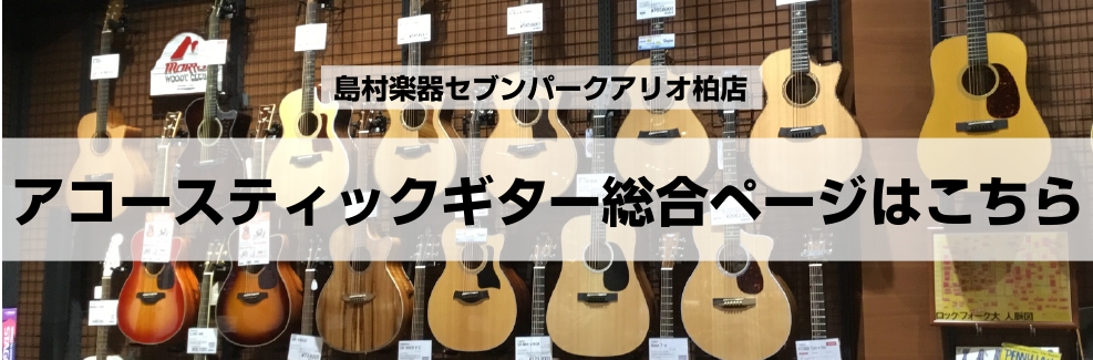 ギター　エレキ　アリオ柏　柏　ギター教室　増尾　松戸　我孫子　白井　手賀の杜