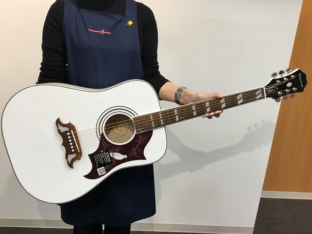 【新着入荷情報】Epiphone DOVE PRO AW入荷しました!