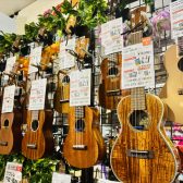 ウクレレを選ぶならフィール旭川店へ！ウクレレ教室も開講中！