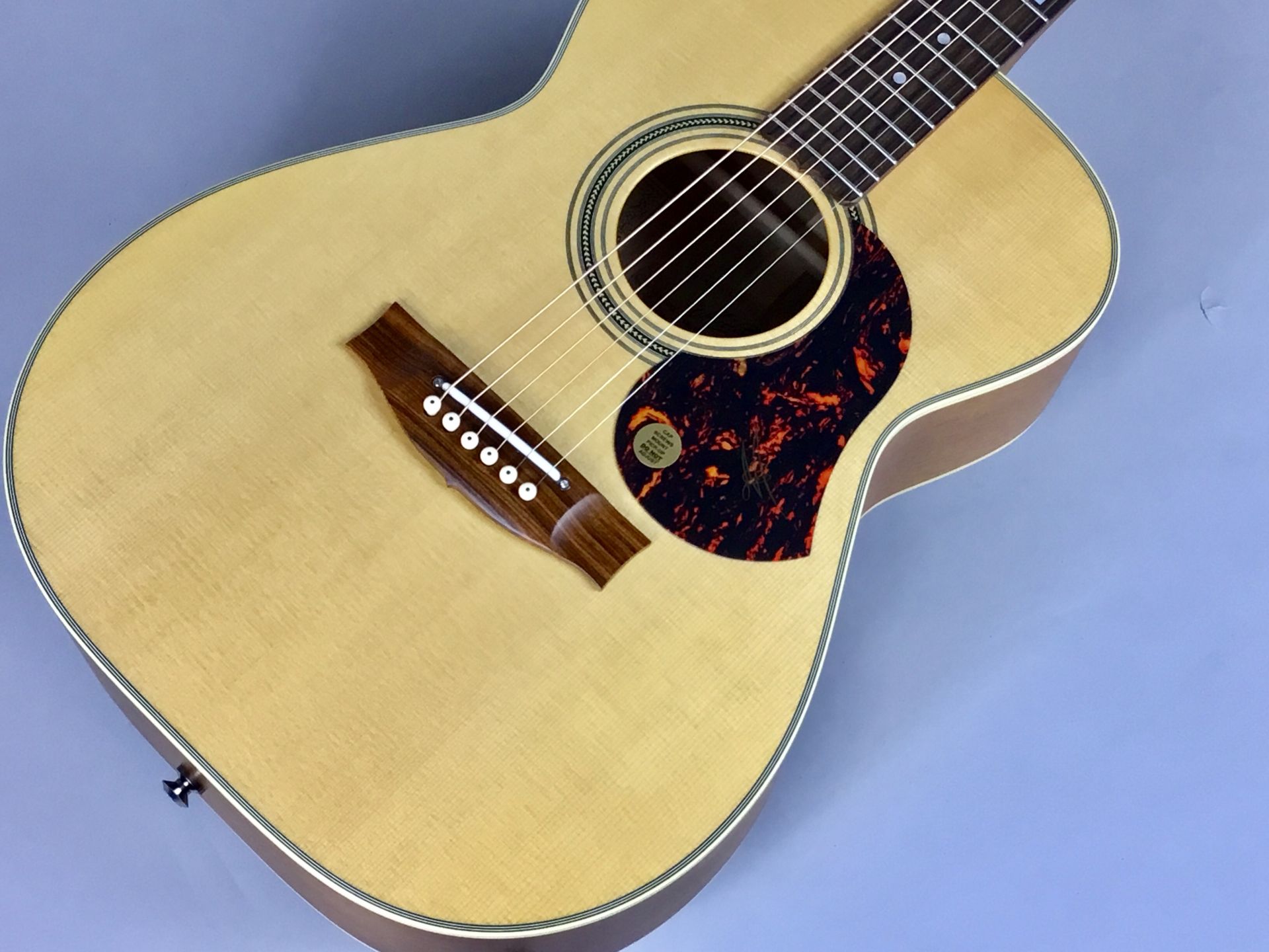 【新着情報】Maton EBG808TE入荷しました！