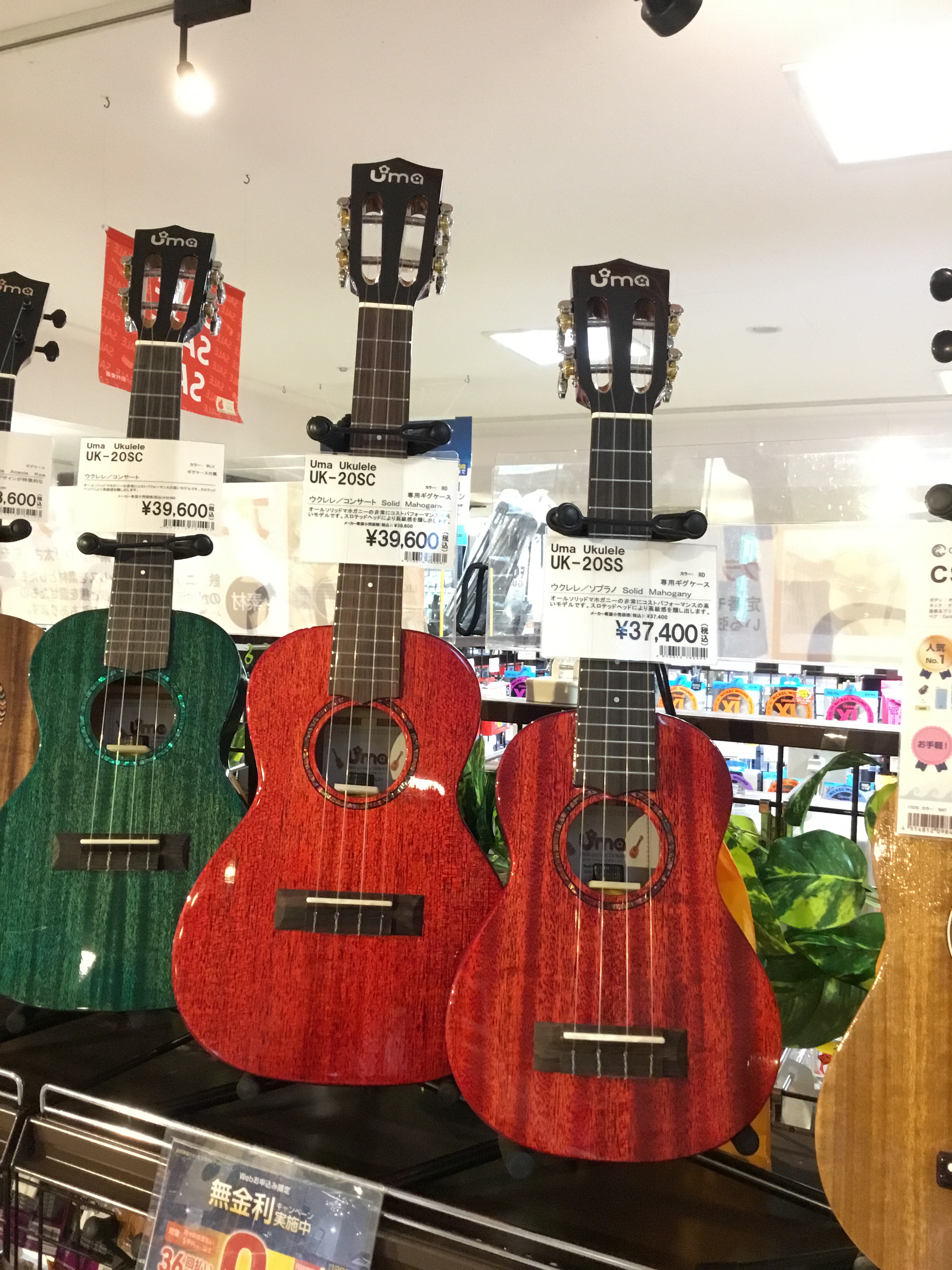 【島村楽器 限定カラー】Uma Ukulele 入荷しました！！