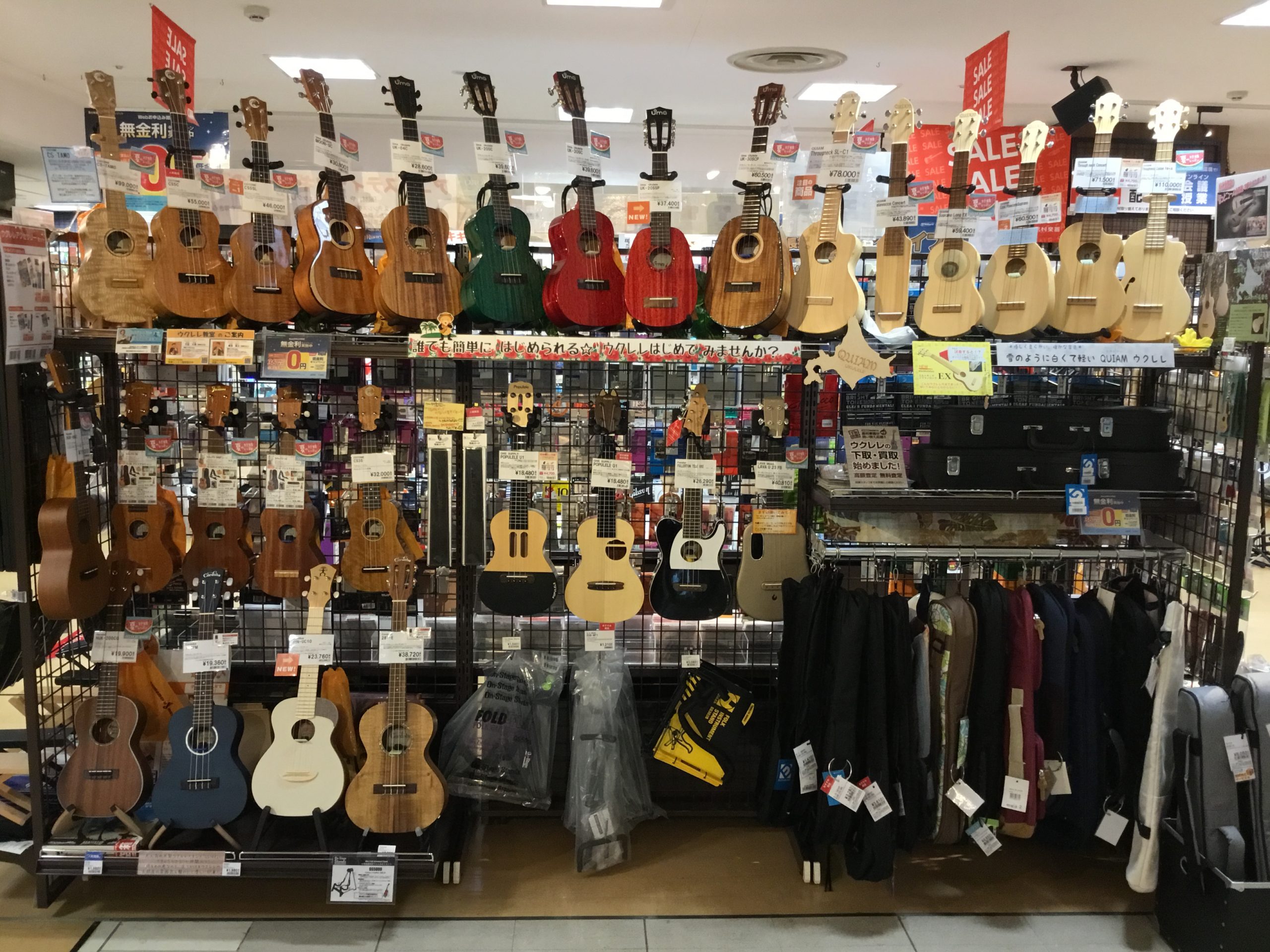 ウクレレを選ぶならフィール旭川店へ!ウクレレ教室も開講中!|島村
