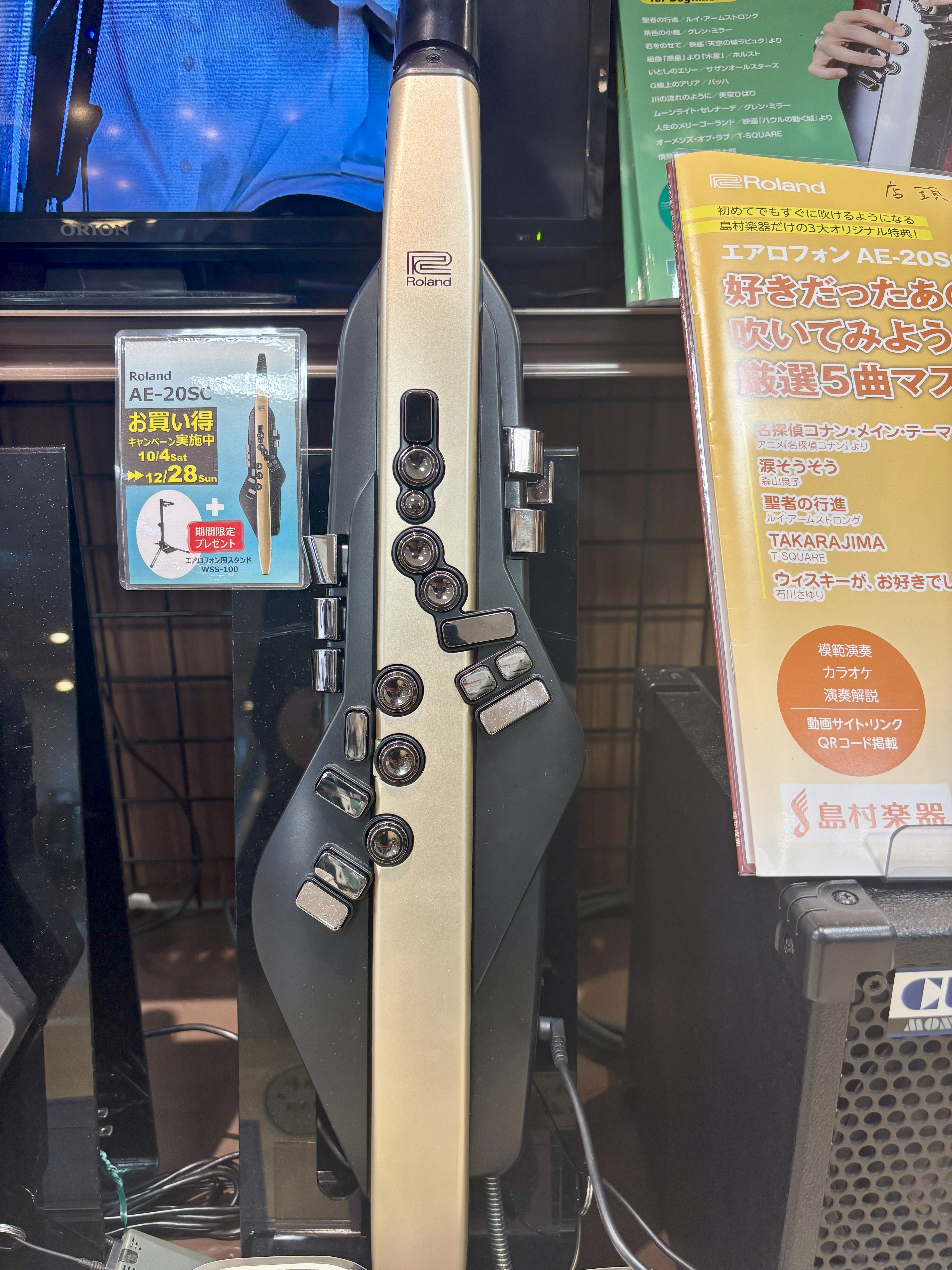 エアロフォンAE-20SC
