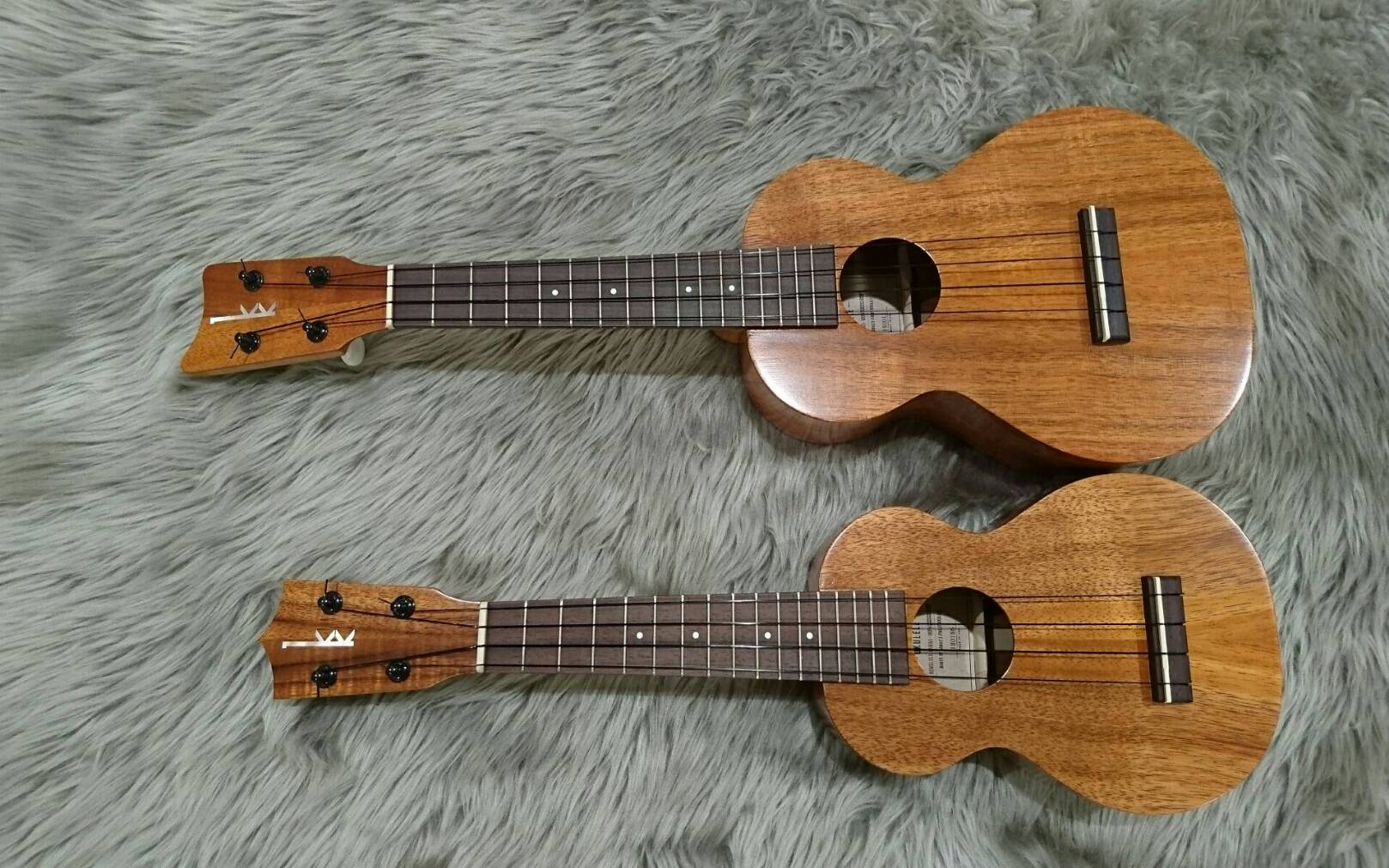 【ウクレレ】KAMAKA2本入荷しました！