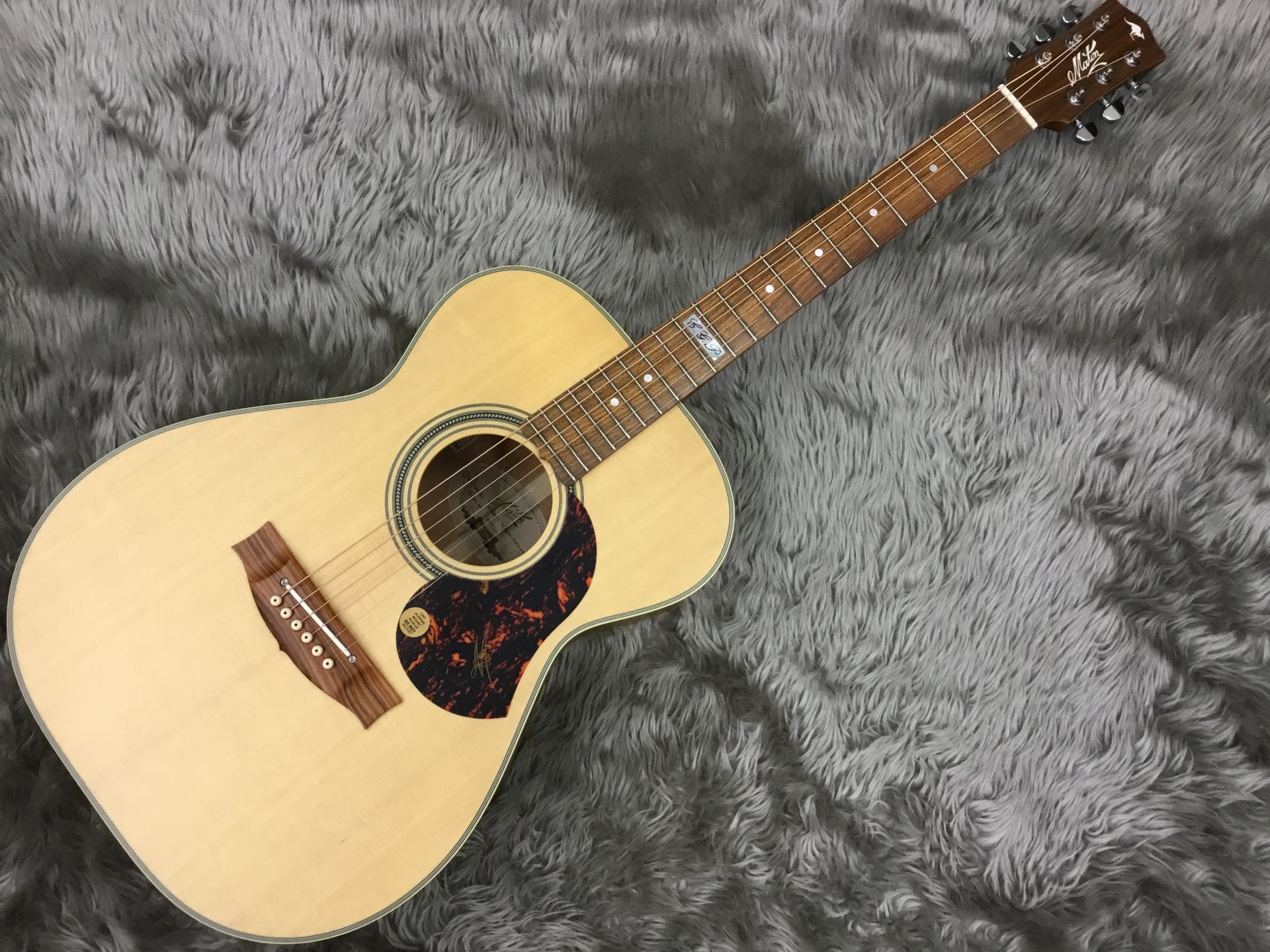 【アコーステックギター】MATON/EBG808TE入荷いたしました！