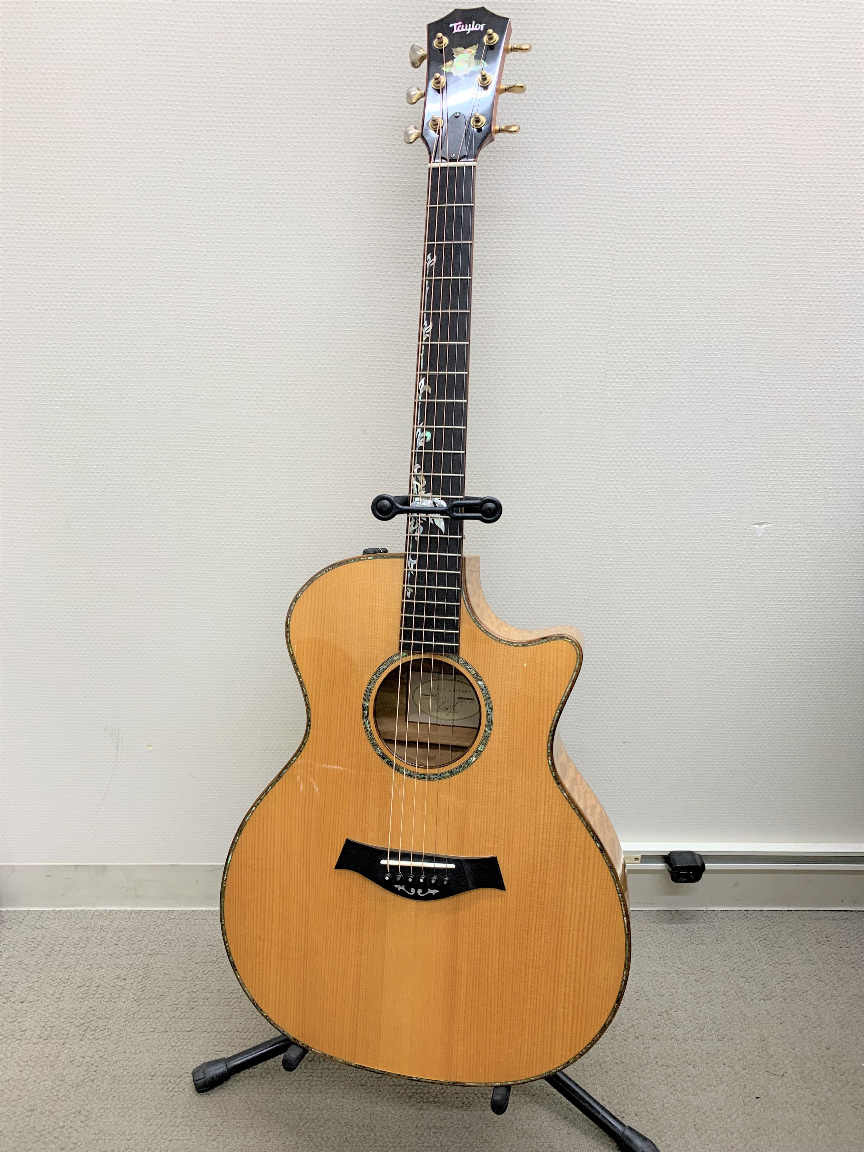 TaylorBTO GAce-M/QT AD