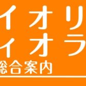 【バイオリン・ビオラ】イオンモール綾川店　ラインナップ