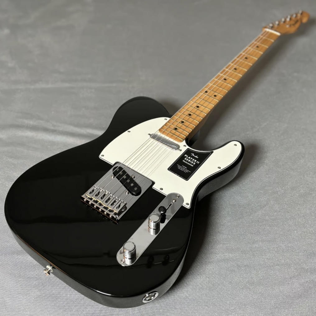 メキシコ製。入門者～中級者クラスFender PLAYER II