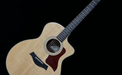 【中古楽器紹介】Taylor 214ce ES2