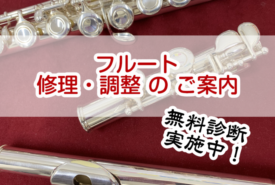 *千葉県印西市千葉ニュータウン中央駅徒歩5分でフルートの修理・調整 ---- *～目次～フルートの修理と調整 ▼タップして頂くと項目までスクロールします▼ [#b:title=修理・調整料金のご案内] [#c:title=フルートの状態は？] [#d:title=お預かり修理] [#e:title= […]