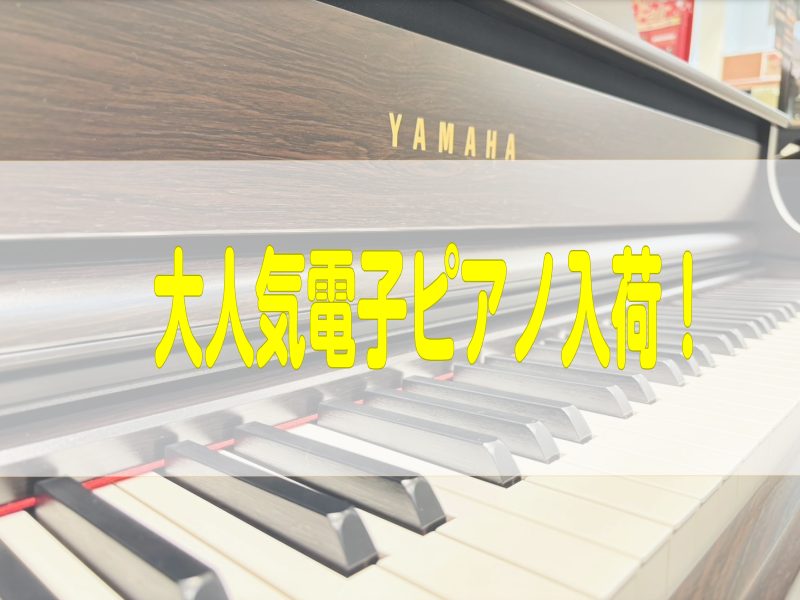 CONTENTS待望の2機種が新しく入荷しました！私たちがご案内いたしますよくあるご質問ピアノご相談承ります楽器を購入される方必見！島村楽器のお得なキャンペーンピアノ総合案内買取・下取りお問い合わせ待望の2機種が新しく入荷しました！ 私たちがご案内いたします よくあるご質問 詳しいアクセス方法はこち […]