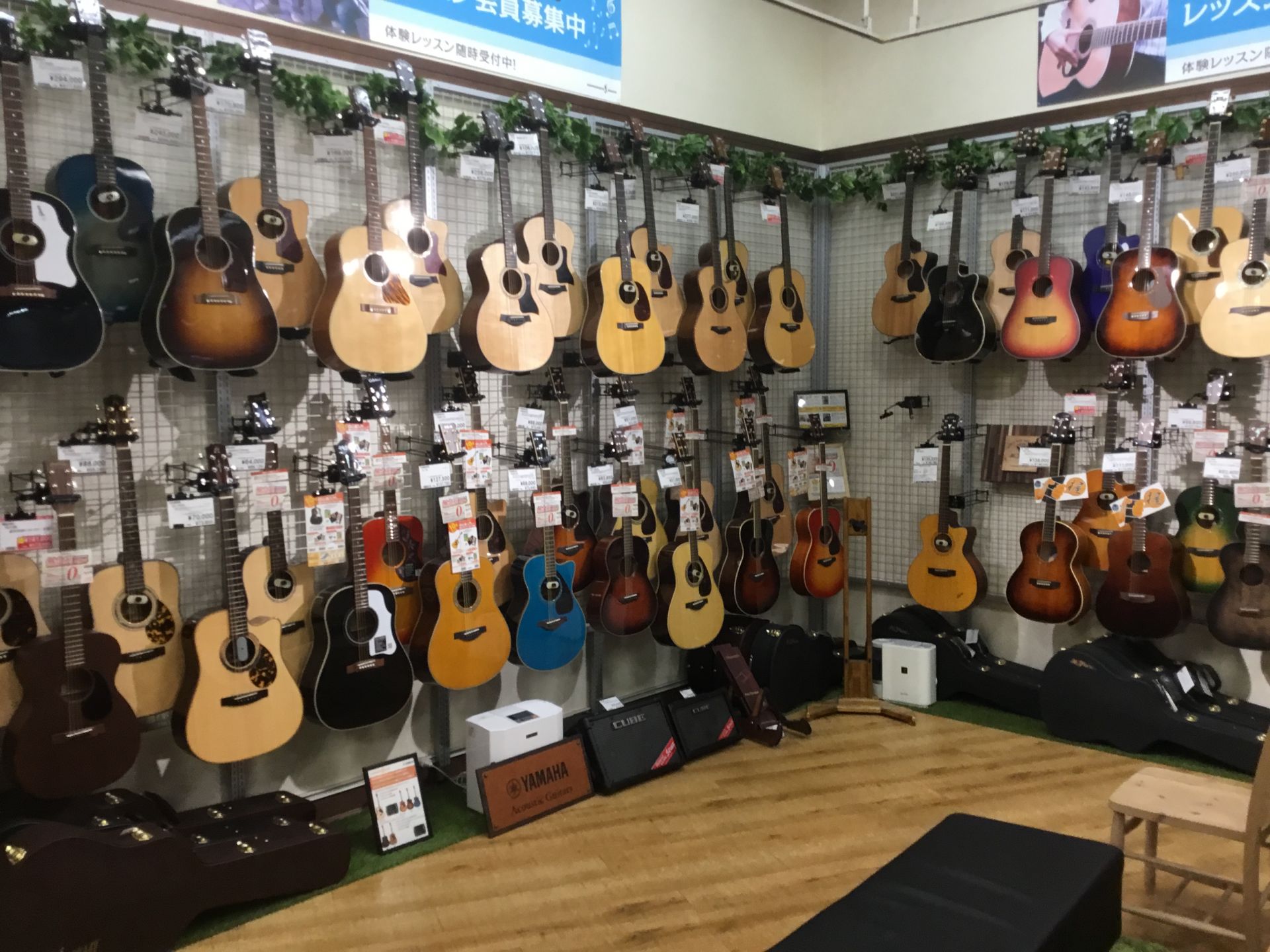 Martin & Taylor (アコースティックギター) フェア開催!!