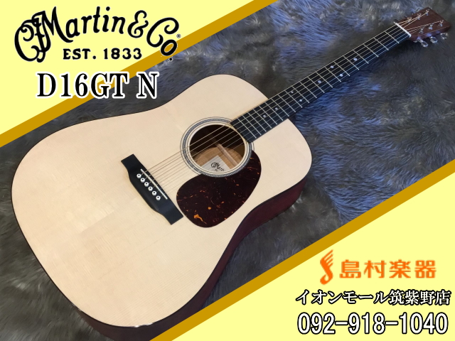 マーチン Martin & Co. D-16GT アコースティックギター MARTIN D