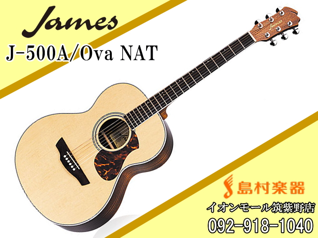James J-500A/Ova ナチュラル アコースティックギター」＋α-