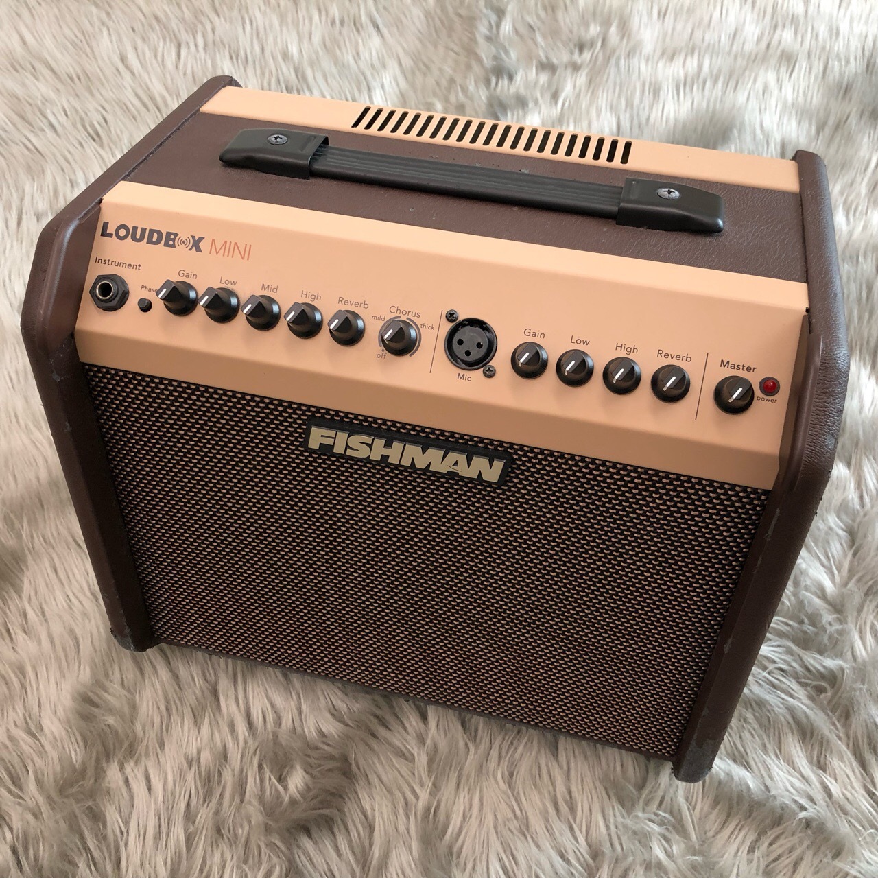 Fishman アコースティックギター アンプ LOUDBOX mini