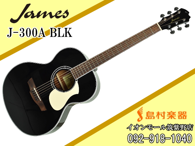 James アコースティックギター J-300A TBK