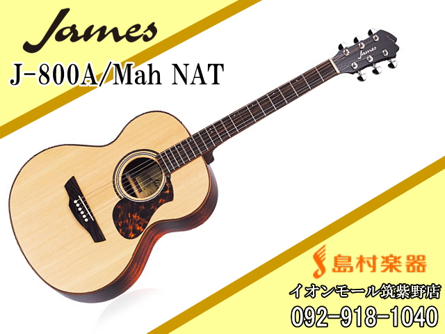 James J-800A/Mah NAT(ナチュラル) アコースティックギター