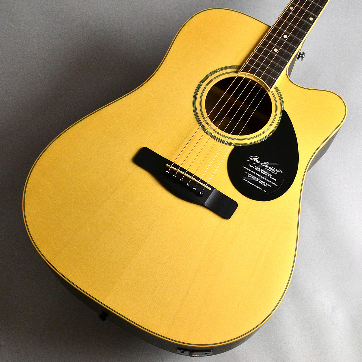 Greg Bennett アコースティックギター アコースティックギター Greg Bennett