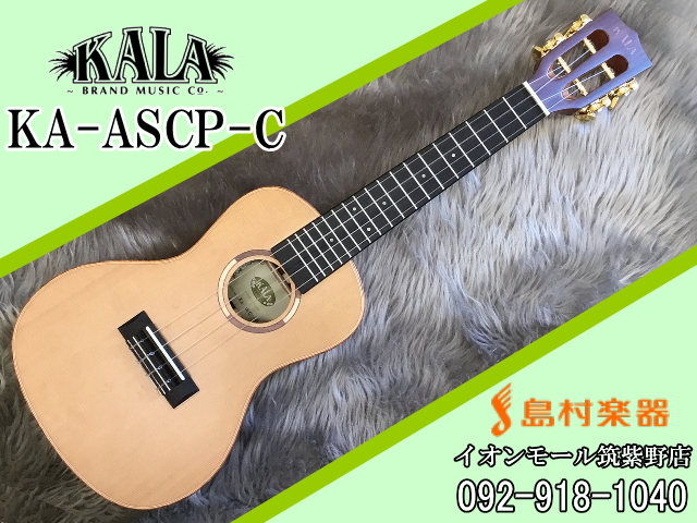 KALA KA-ASCP-C ウクレレ／コンサート 【カラ】