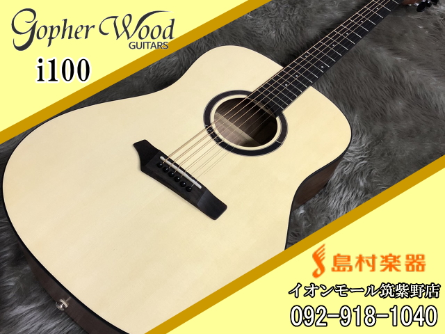 Gopher Wood GUITARS i100 アコースティックギター【ゴフェルウッドギターズ】