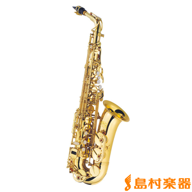 【管楽器】サックス　ラインナップ一覧　（1/18更新）
