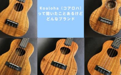 【島村楽器ウクレレセレクトショップ】Koaloha（コアロハ）って聞いたことあるけどどんなブランド【ウクレレ】