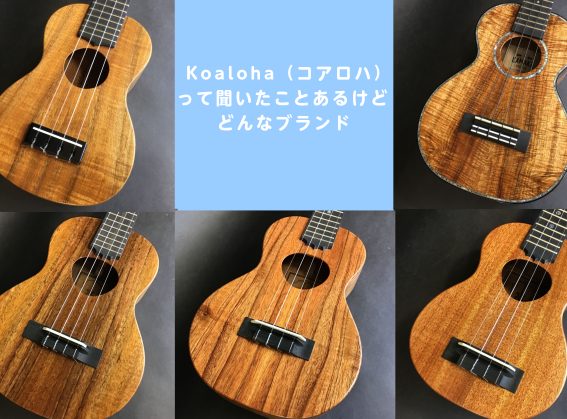 【島村楽器ウクレレセレクトショップ】Koaloha（コアロハ）って聞いたことあるけどどんなブランド【ウクレレ】｜島村楽器 イオンモール筑紫野店