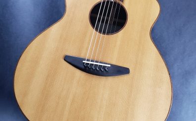 baden guitars A-SR アコースティックギター【1本限りのアウトレット】