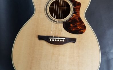 【中古アコギ】HISTORY NT-S4/2020 ヒストリー
