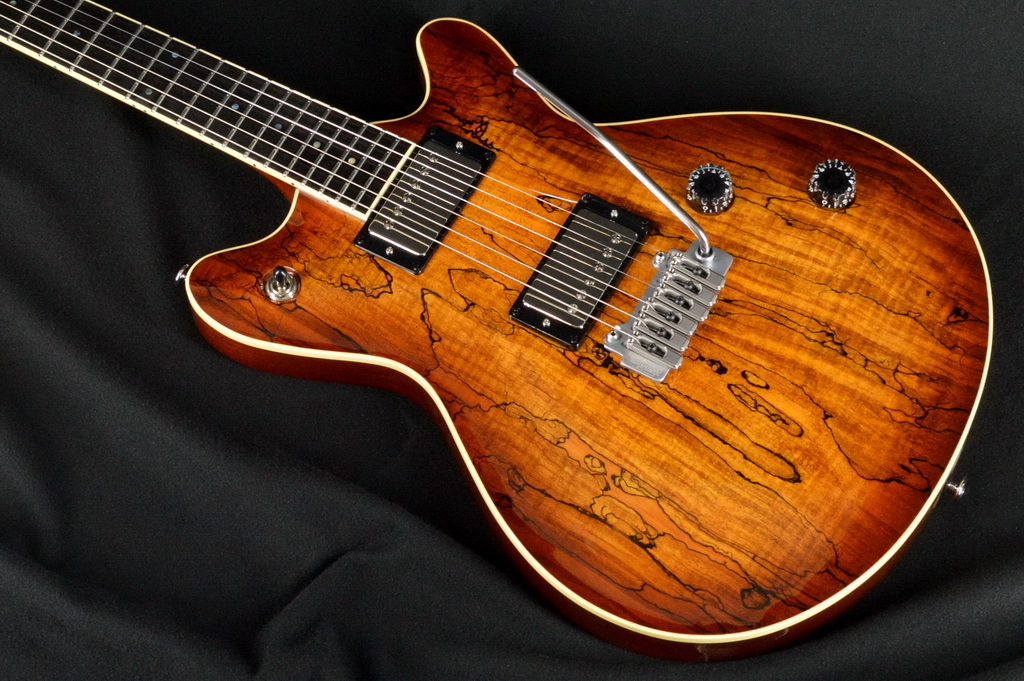 T's GuitarsArc-STD22/VS100N/CTM / Violine Burst