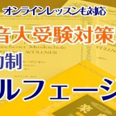 春の入会金半額キャンペーン実施中！【音大受験対策】ソルフェージュ～福岡県・筑紫野市の音楽教室～