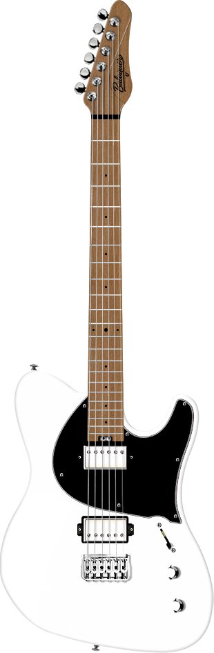 エレキギターThicket Standard Gloss White
