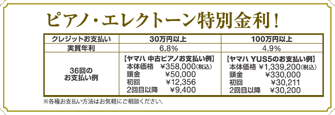 ピアノ＆エレクトーン　特別金利 分割お支払プラン