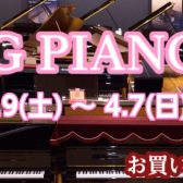 【3.9~4.7】SPRING PIANO FAIR 2024 延長開催！