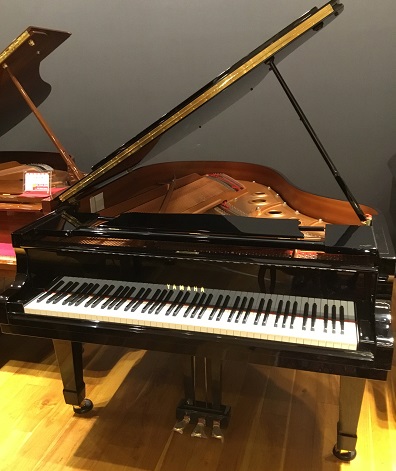 YAMAHAC3X