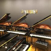 【ヤマハ/YAMAHA】グランドピアノのおすすめ・特徴をピアノ専門スタッフがご紹介