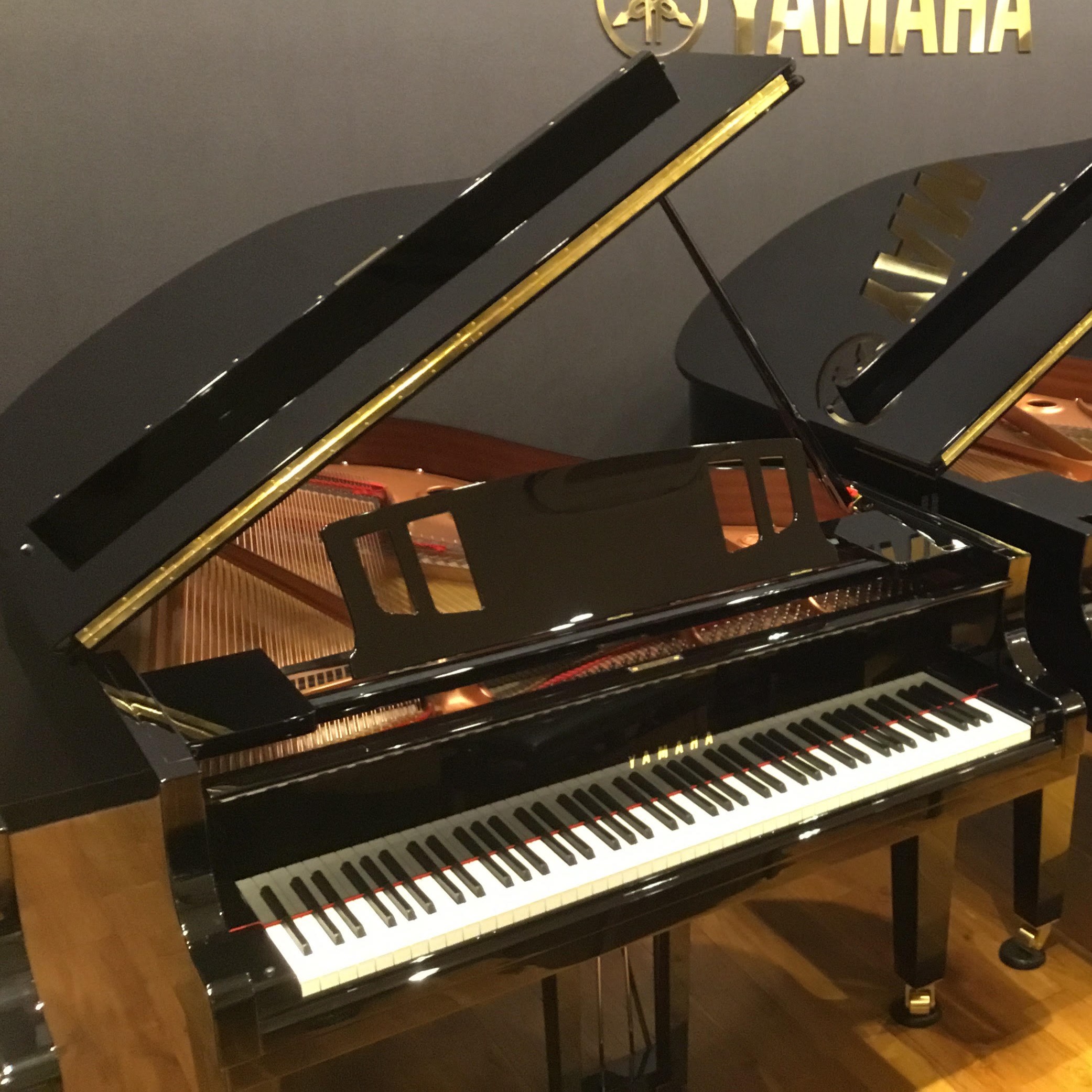 YAMAHAC3X espressivo