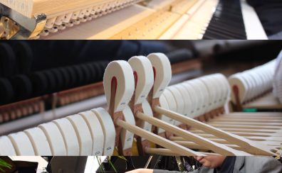 楽しく学ぶ♪楽器学入門
