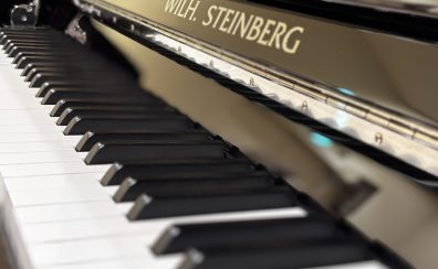 【スタインベルグ】スタインベルグ・総合展示ご案内