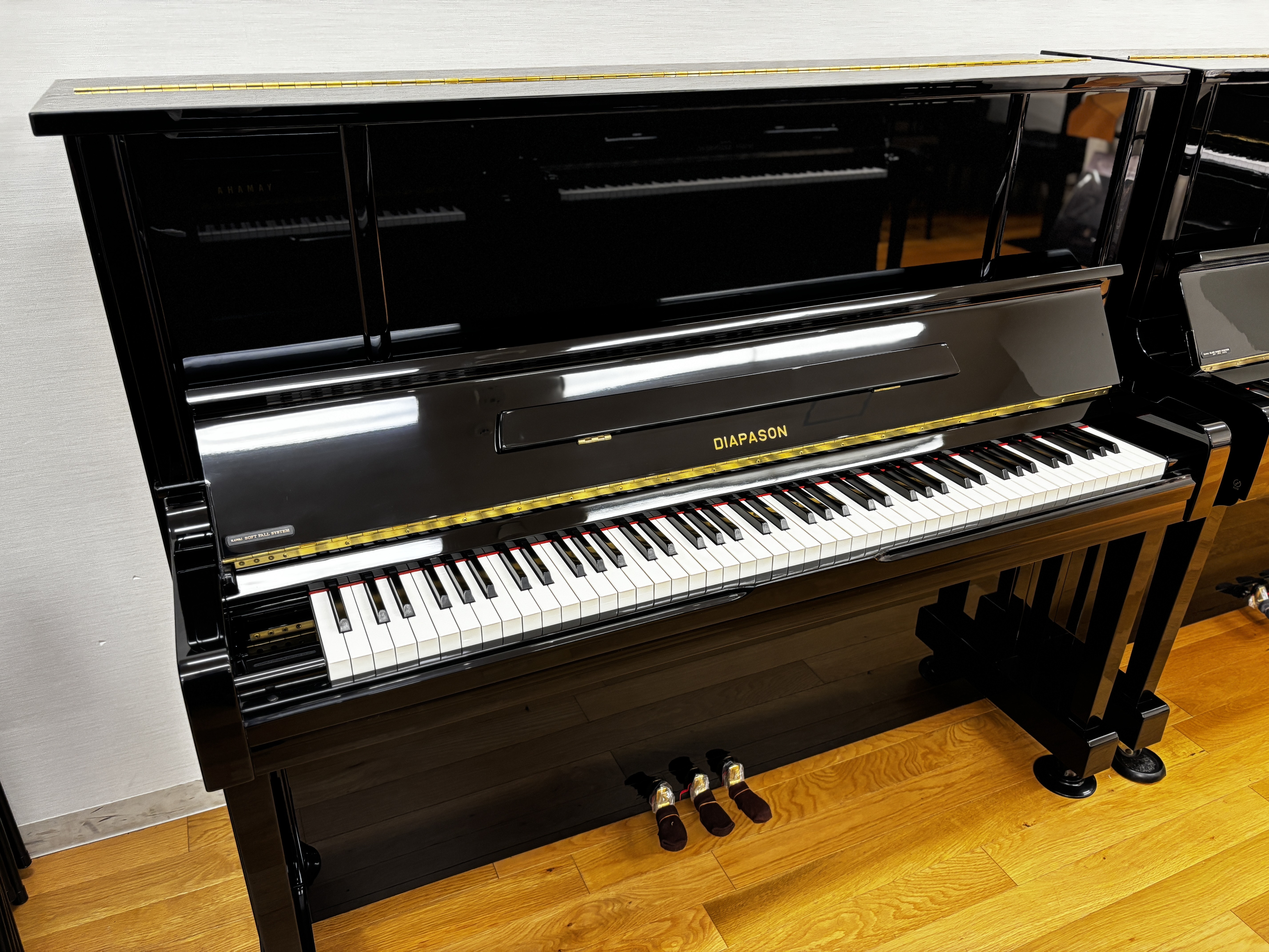 DIAPASON中古 DN-48 2008年製