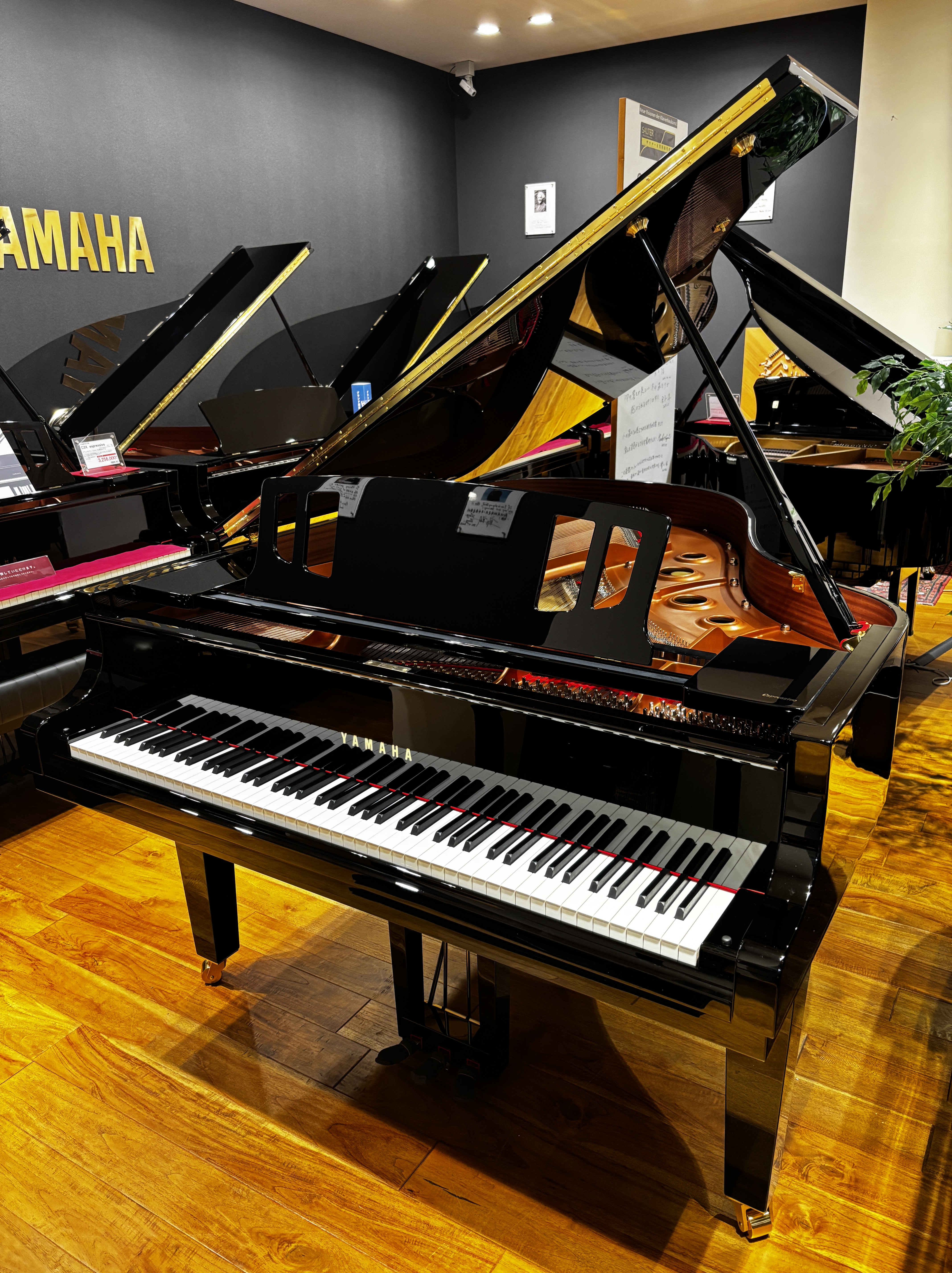 2026年3月 発売C3X espressivo