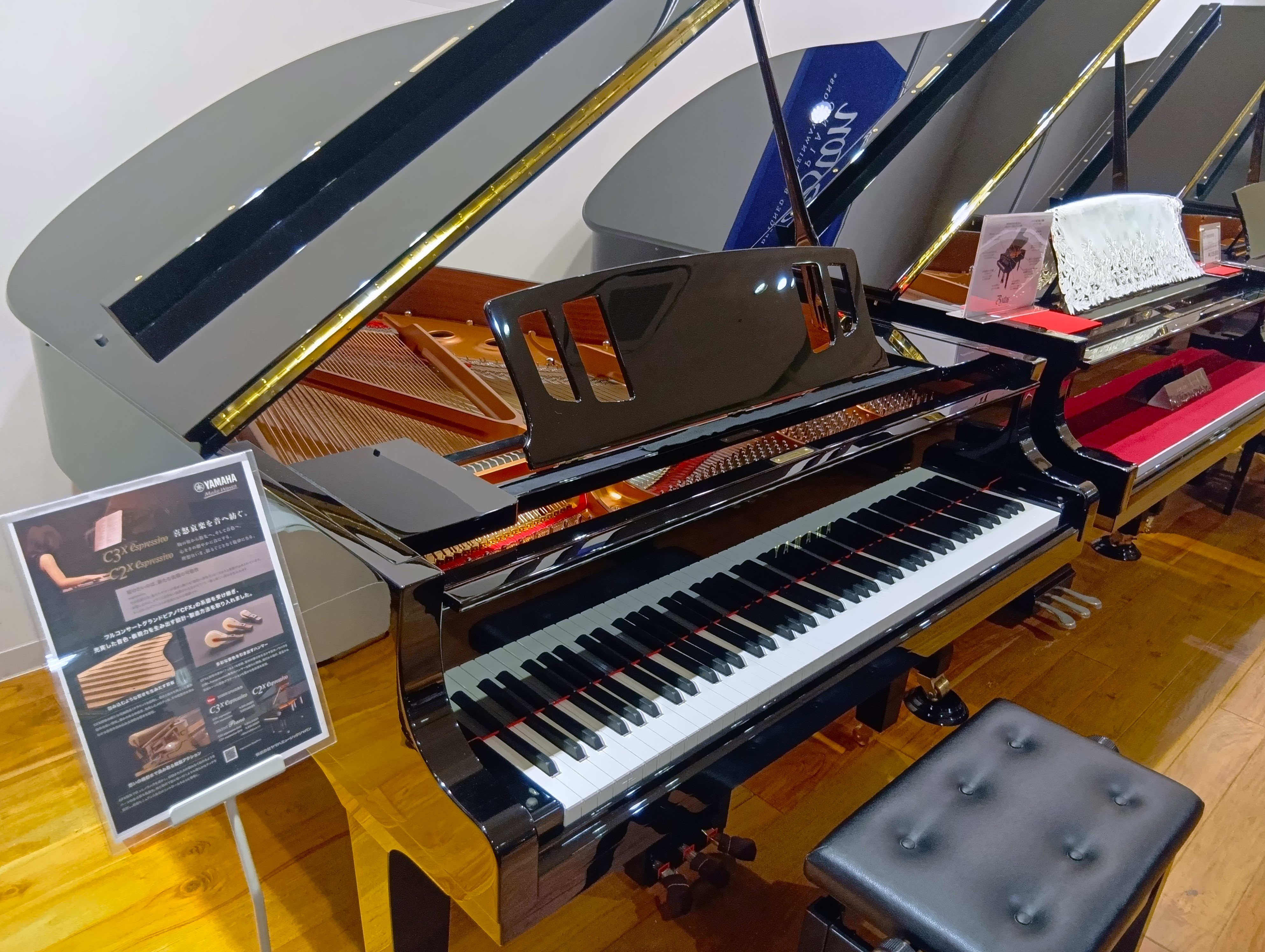 YAMAHAC2X espressivo