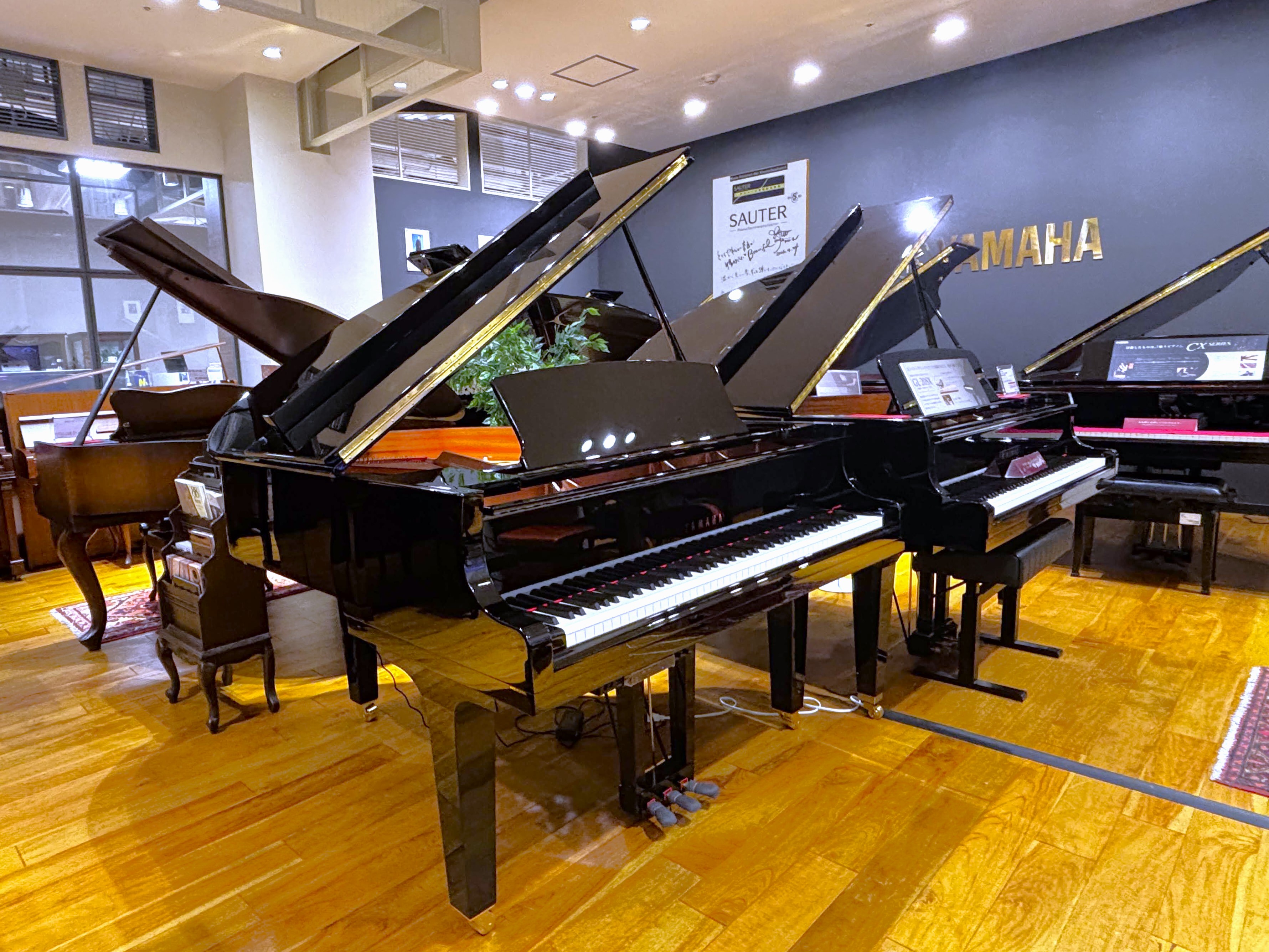 YAMAHAC1X