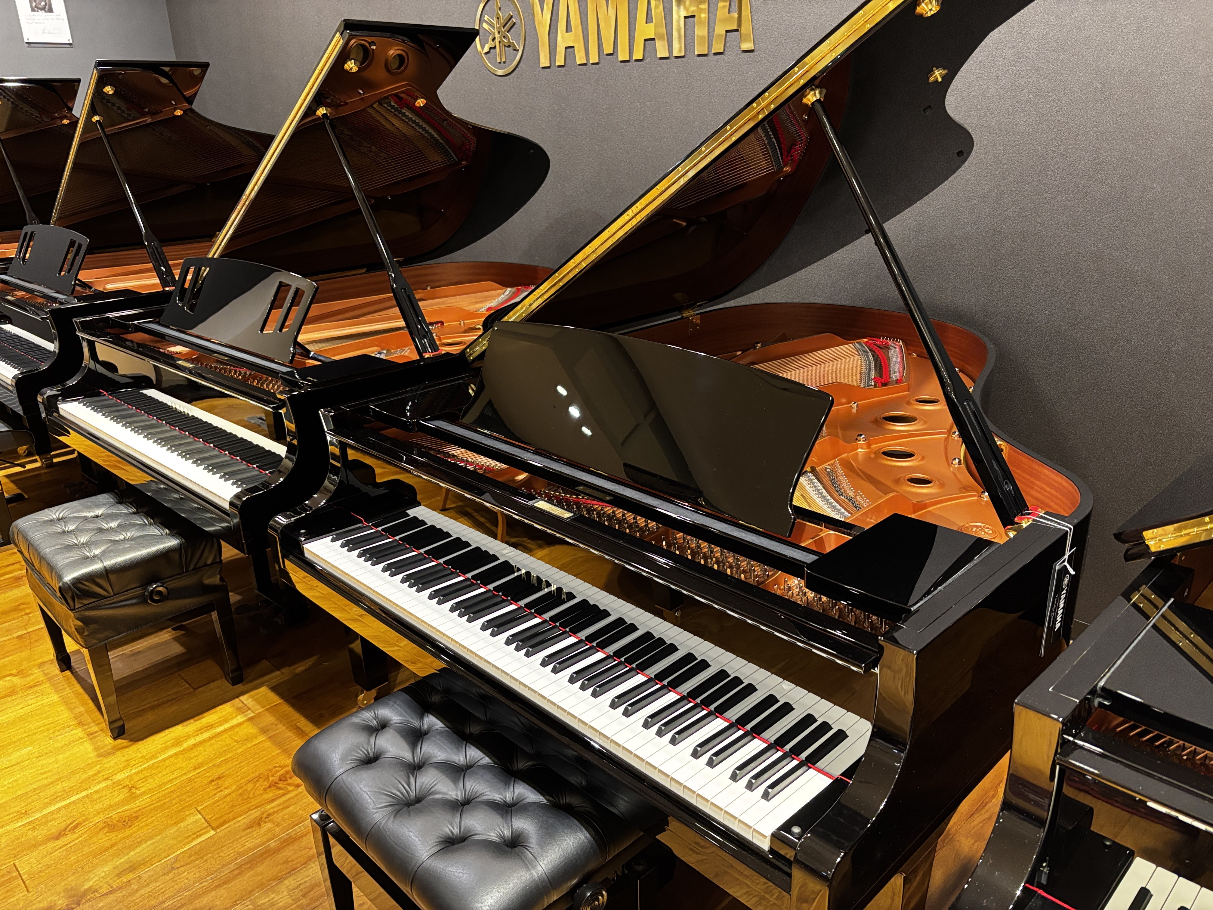 YAMAHAC3X