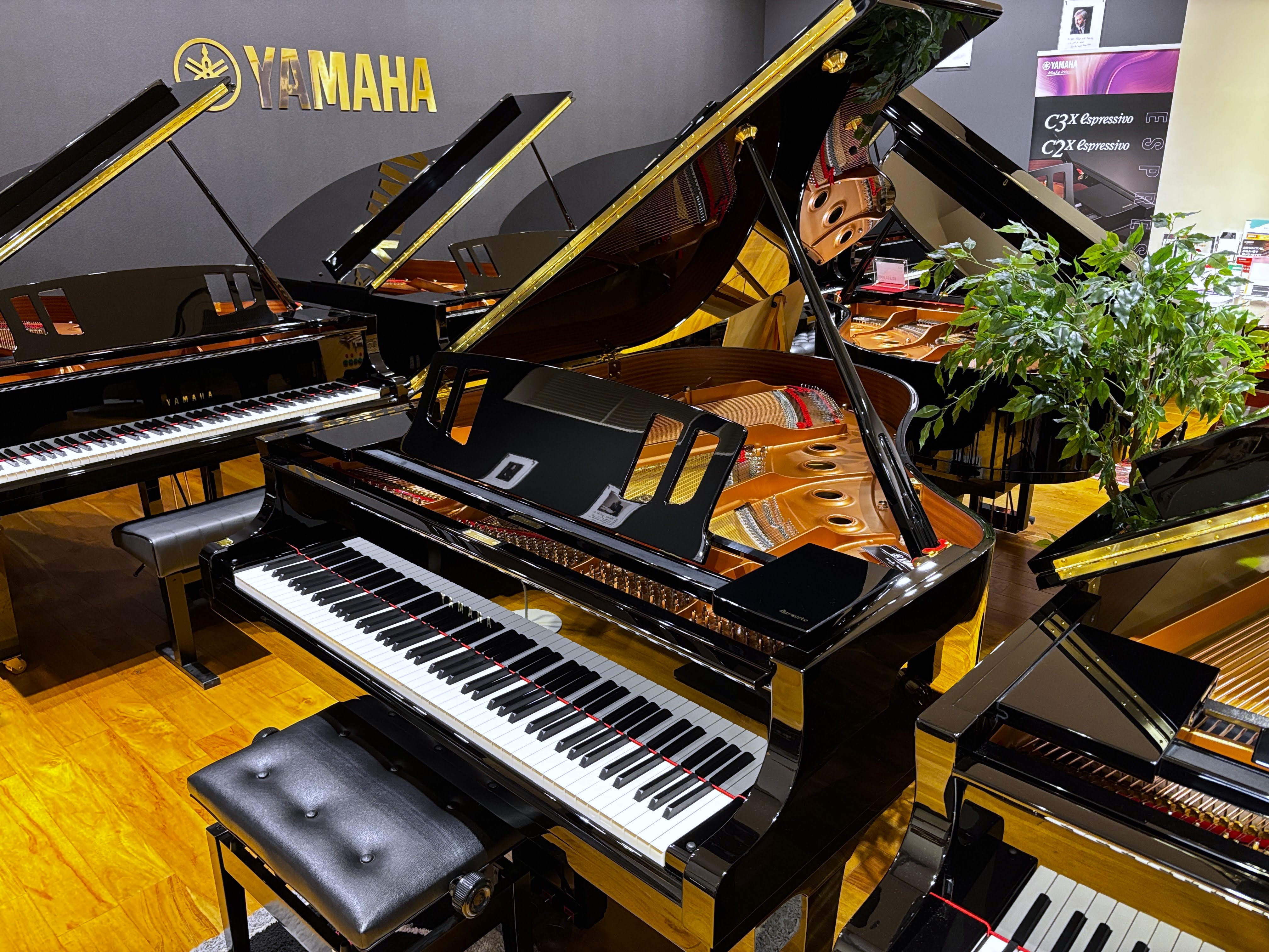 YAMAHAC2Xespressivo