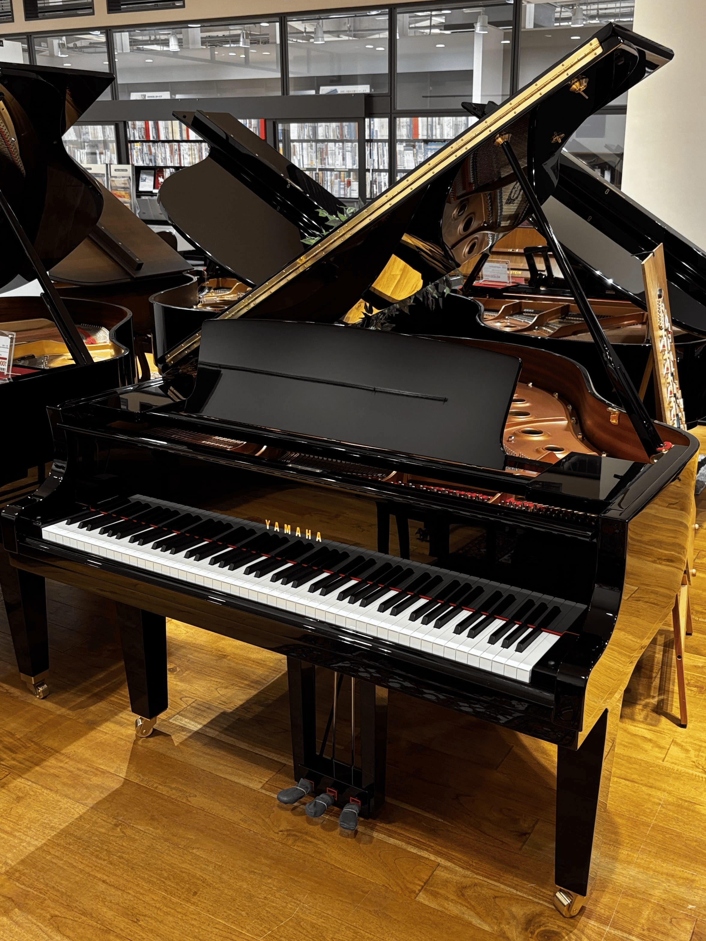 YAMAHAC1X