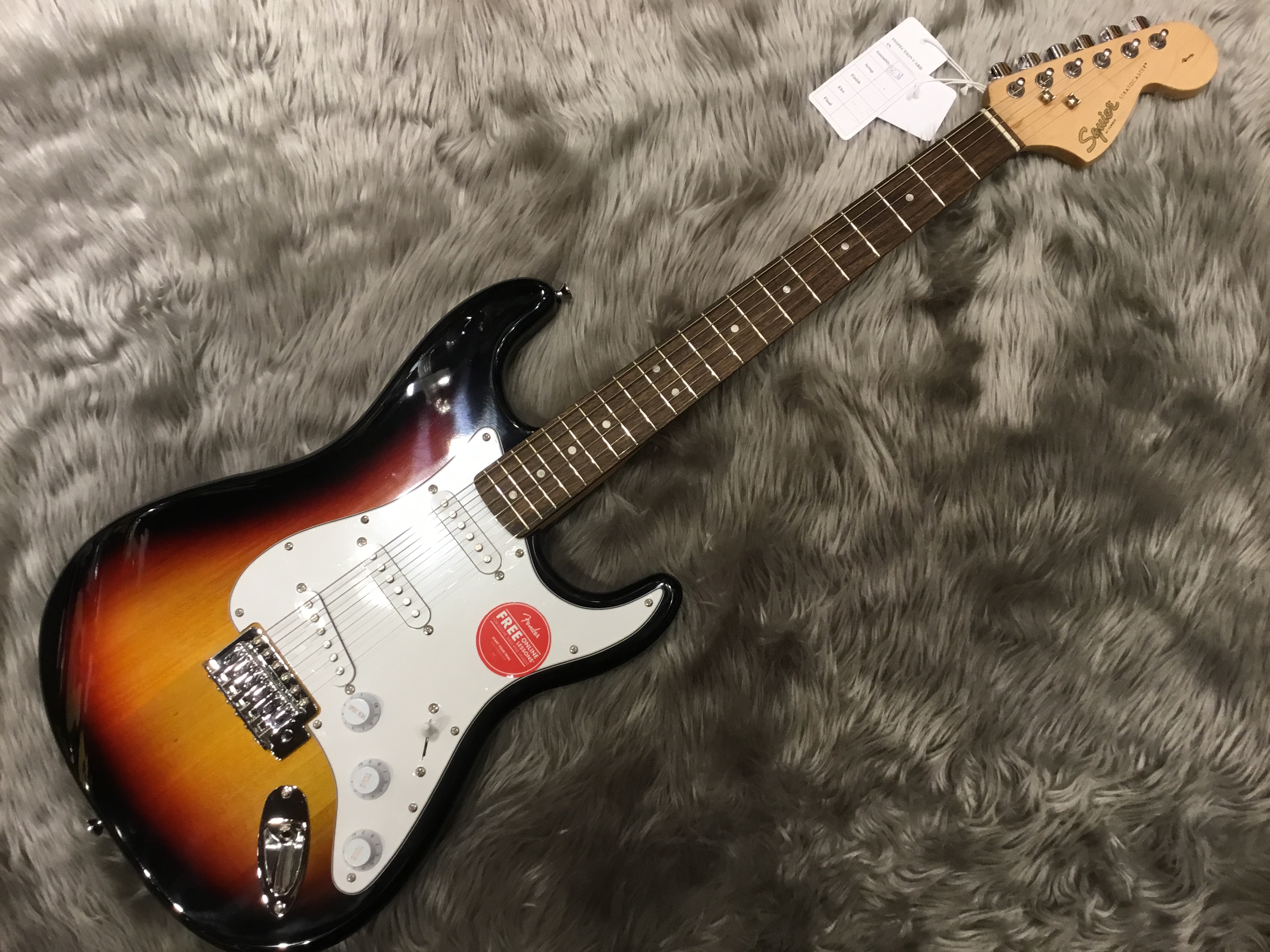 スクワイヤ(Squier)ストラト、テレキャス展示してます！